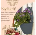 GarPet 4er Set Wandblumentöpfe Anthrazit Rattan Bild 3