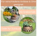 GarPet Grabschale 2er Set Bronze Selbstbewässerung Bild 5