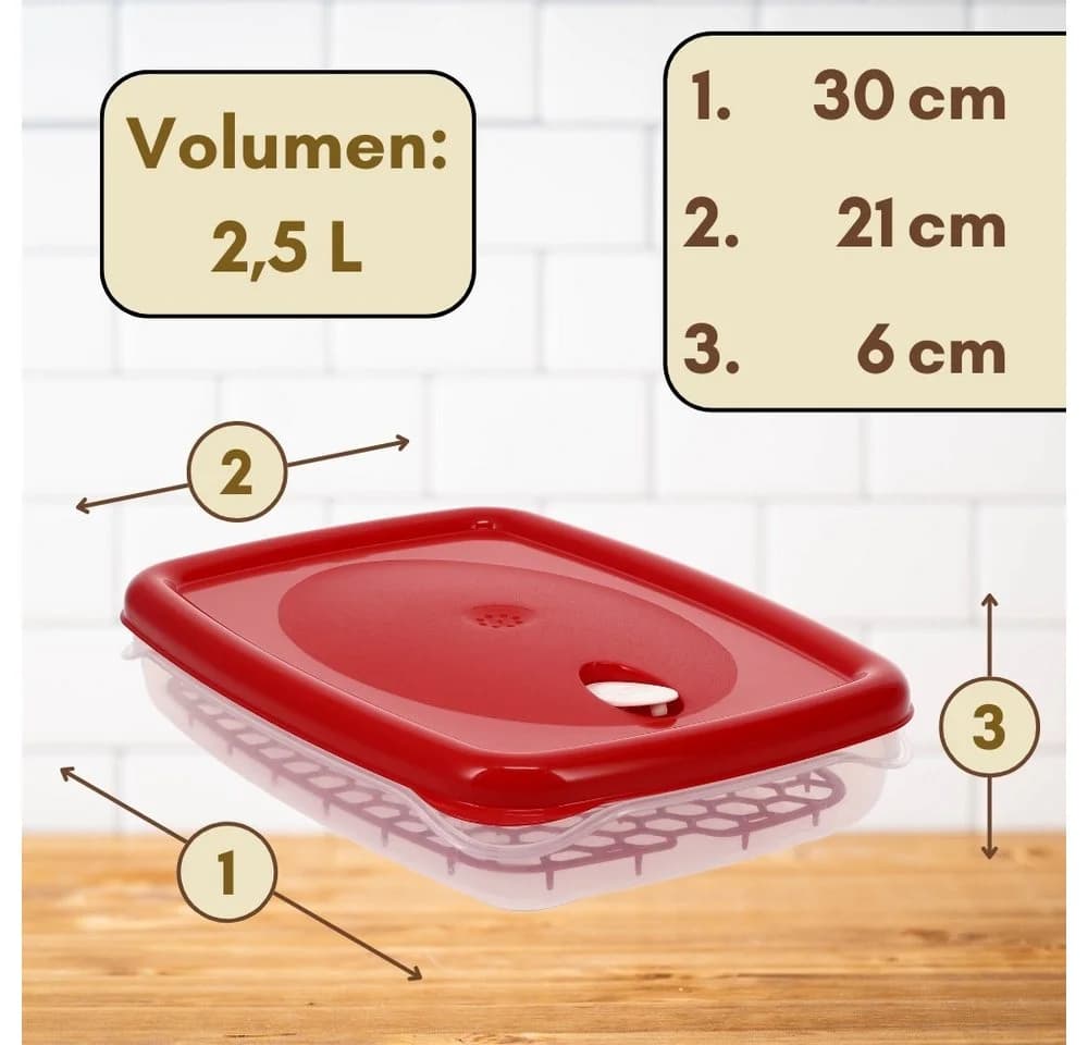 GarPet Frischhaltedose 2er Set 2,5L mit Deckel & Abtropfgitter