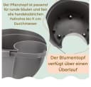 GarPet Blumentopf 2er Set Grau für Regenrohr Bild 5