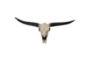 Deko Schädel 132cm MCW-A14 Polyresin Stier Longhorn Kopf Trophäe Bild 2