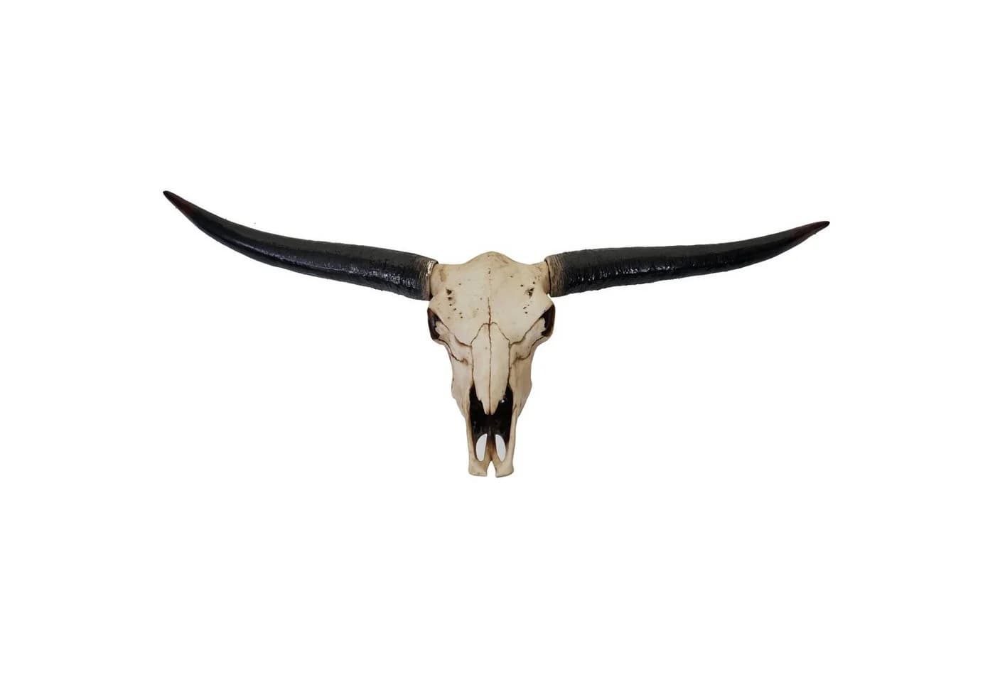 Deko Schädel 132cm MCW-A14 Polyresin Stier Longhorn Kopf Trophäe - Bild 2