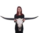 Deko Schädel 132cm MCW-A14 Polyresin Stier Longhorn Kopf Trophäe Bild 3