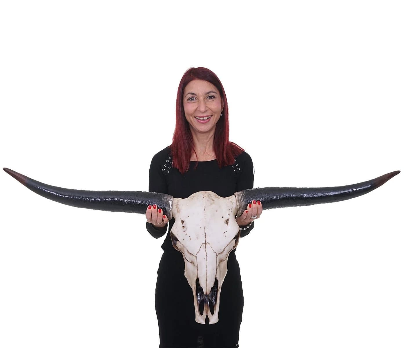 Deko Schädel 132cm MCW-A14 Polyresin Stier Longhorn Kopf Trophäe - Bild 3