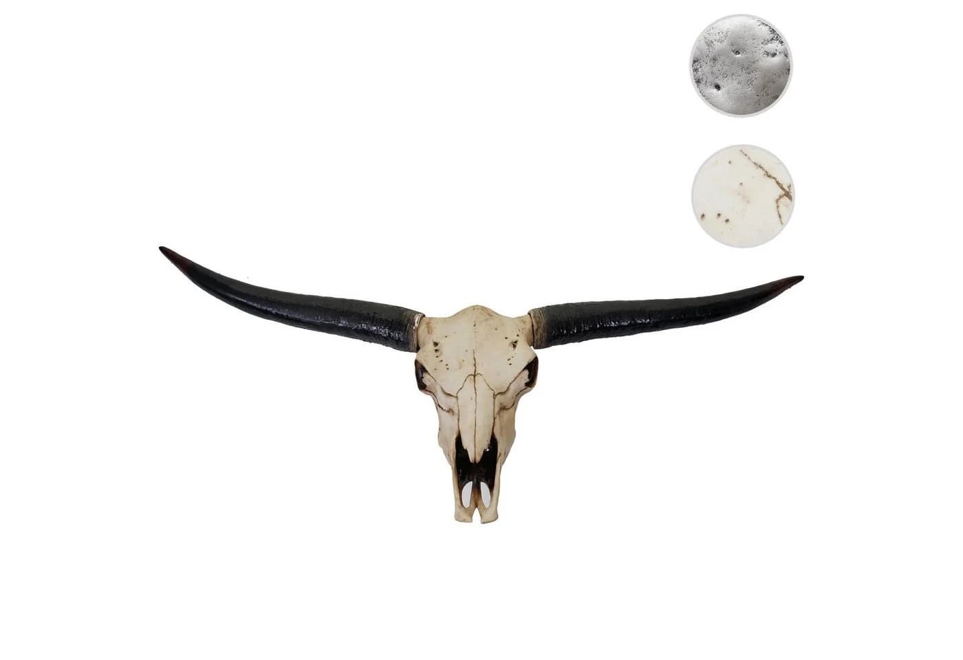 Deko Schädel 132cm MCW-A14 Polyresin Stier Longhorn Kopf Trophäe - Bild 4