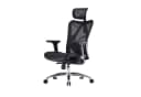 SIHOO Bürostuhl Schwarz Ergonomisch Verstellbare Armlehne 150kg Bild 2