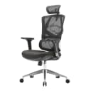 SIHOO Bürostuhl ergonomisch mit Lordosenstütze und 3D-Armlehnen Schwarz Bild 2