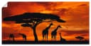 Artland Wandbild Giraffen Sonnenuntergang Leinwand Poster Bild 2