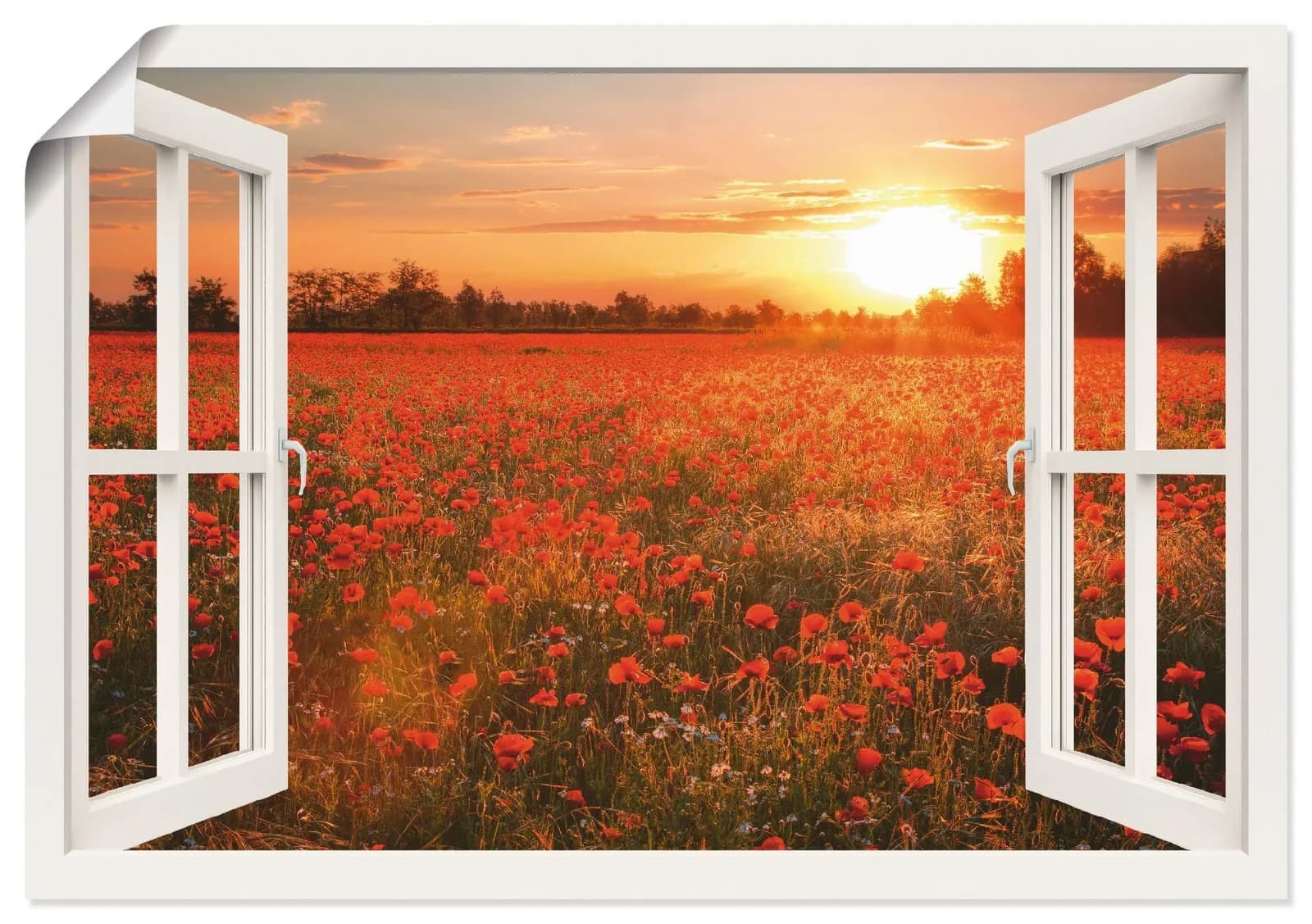 Wandbild ARTLAND Fensterblick Mohnblumenfeld Leinwandbild