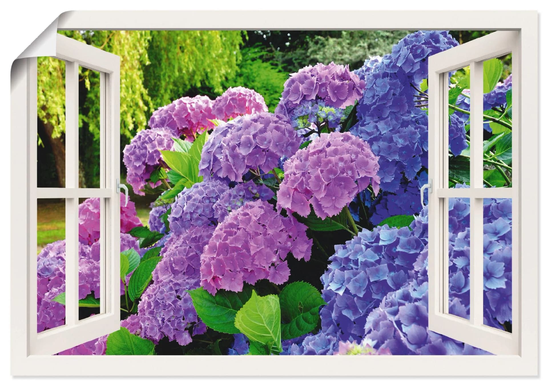 Artland Wandbild "Fensterblick Hortensien im Garten" Lila