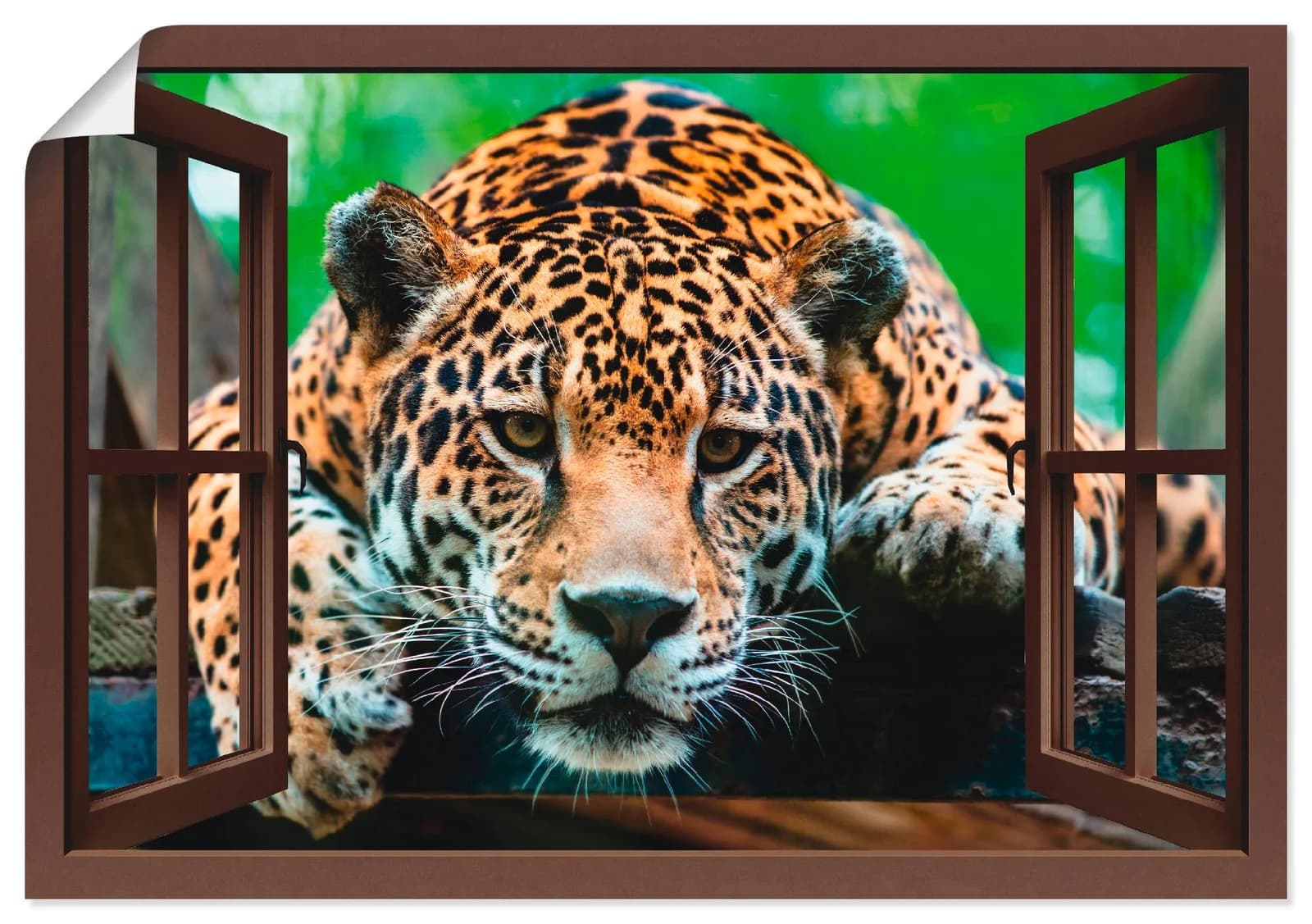ARTLAND Poster Südamerikanischer Jaguar Braun
