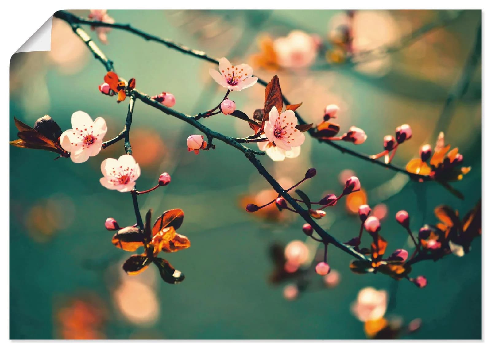 ARTLAND Wandbild Japanische Sakura Blumen Blau 100x70 cm