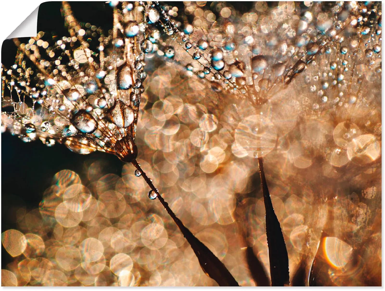 ARTLAND Wandbild Pusteblume Goldschimmer Gold 120x90 cm