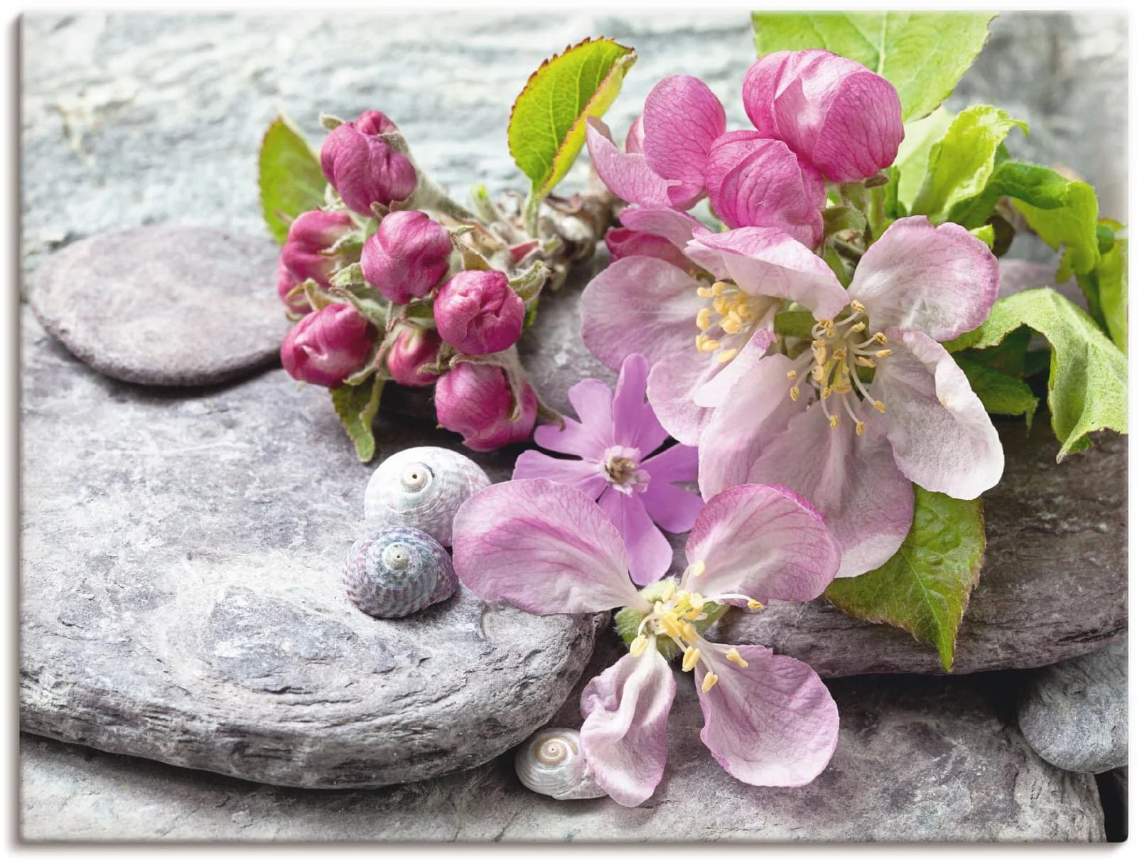 ARTLAND Leinwandbild Apfelblüten Rosa auf Holzrahmen