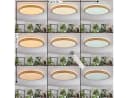 hofstein Deckenleuchte dimmbar LED Fernbedienung Weiß/Natur Boho-Design Bild 4