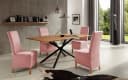 Beautex Stuhlhusse Eva Lang Rosa Samt Mikrofaser Stretch Bild 1