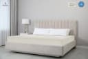 Beautex Spannbettlaken 2er Set Jersey Baumwolle 160g/m² Bild 3