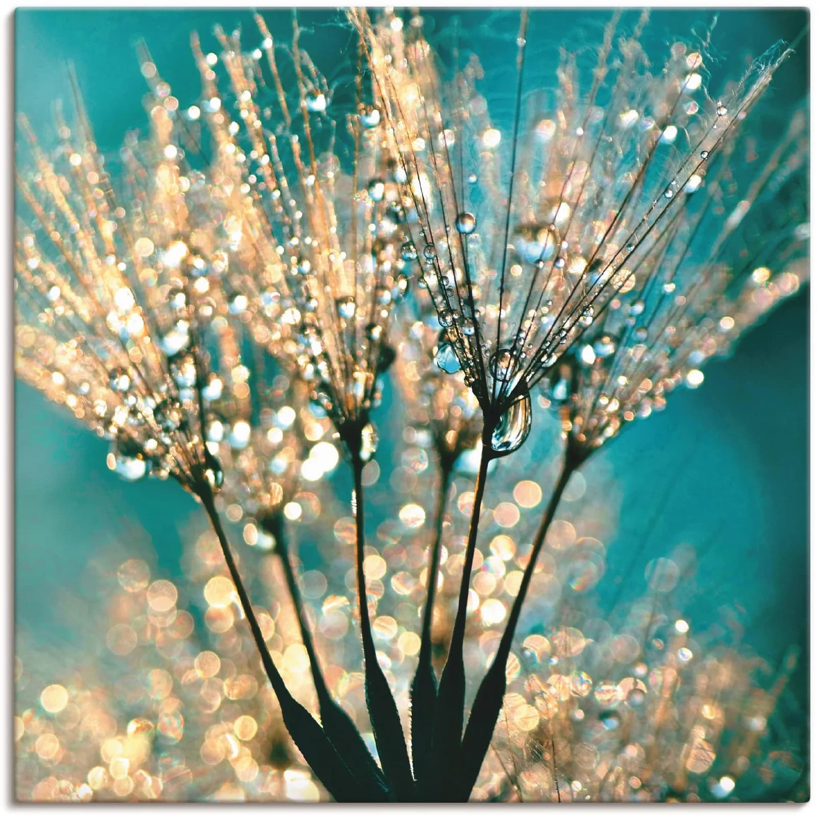 ARTLAND Wandbild Pusteblume Schirmchen abstrakt blau 70x70 cm