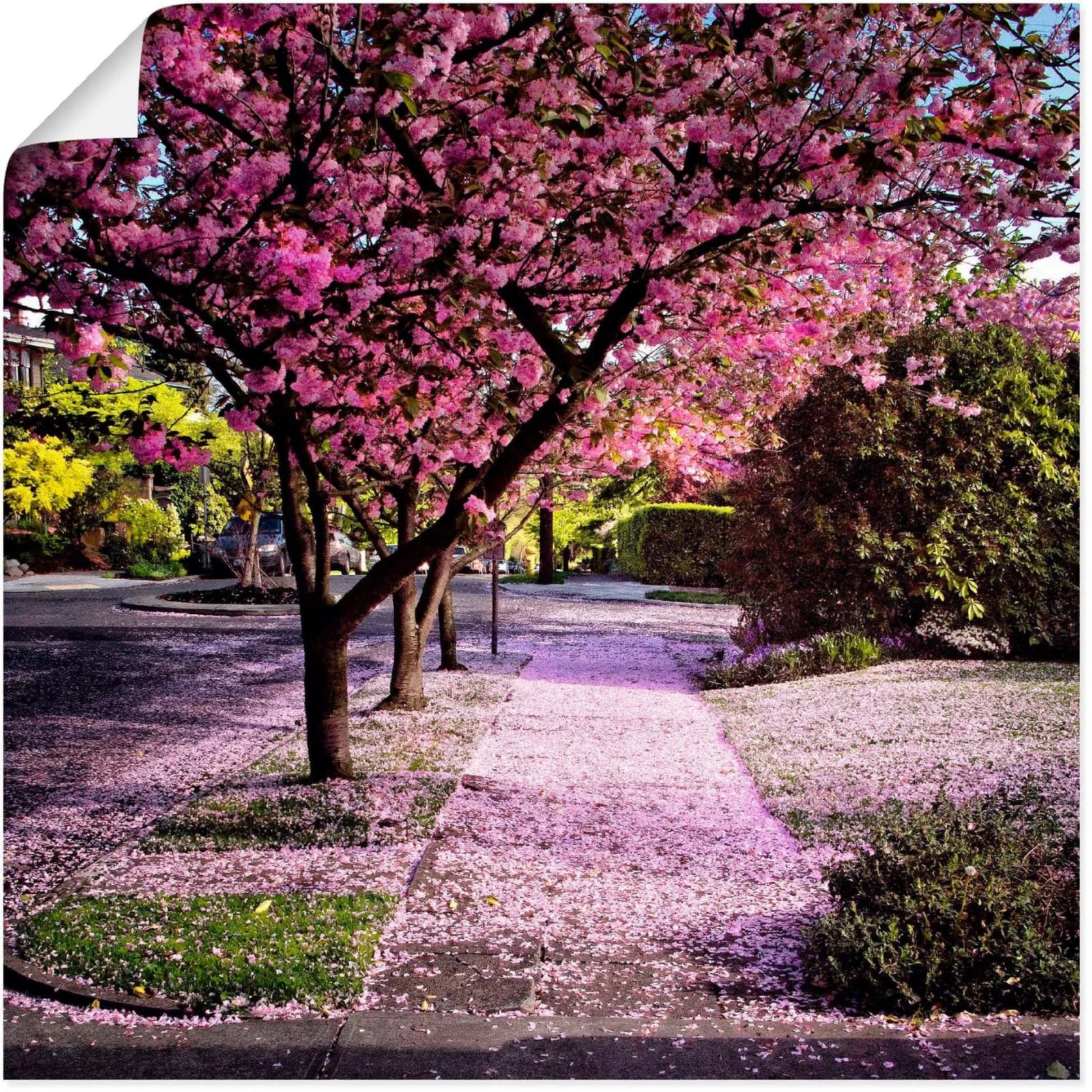 ARTLAND Wandbild Fallende Blütenblätter Pink 50x50 cm Poster