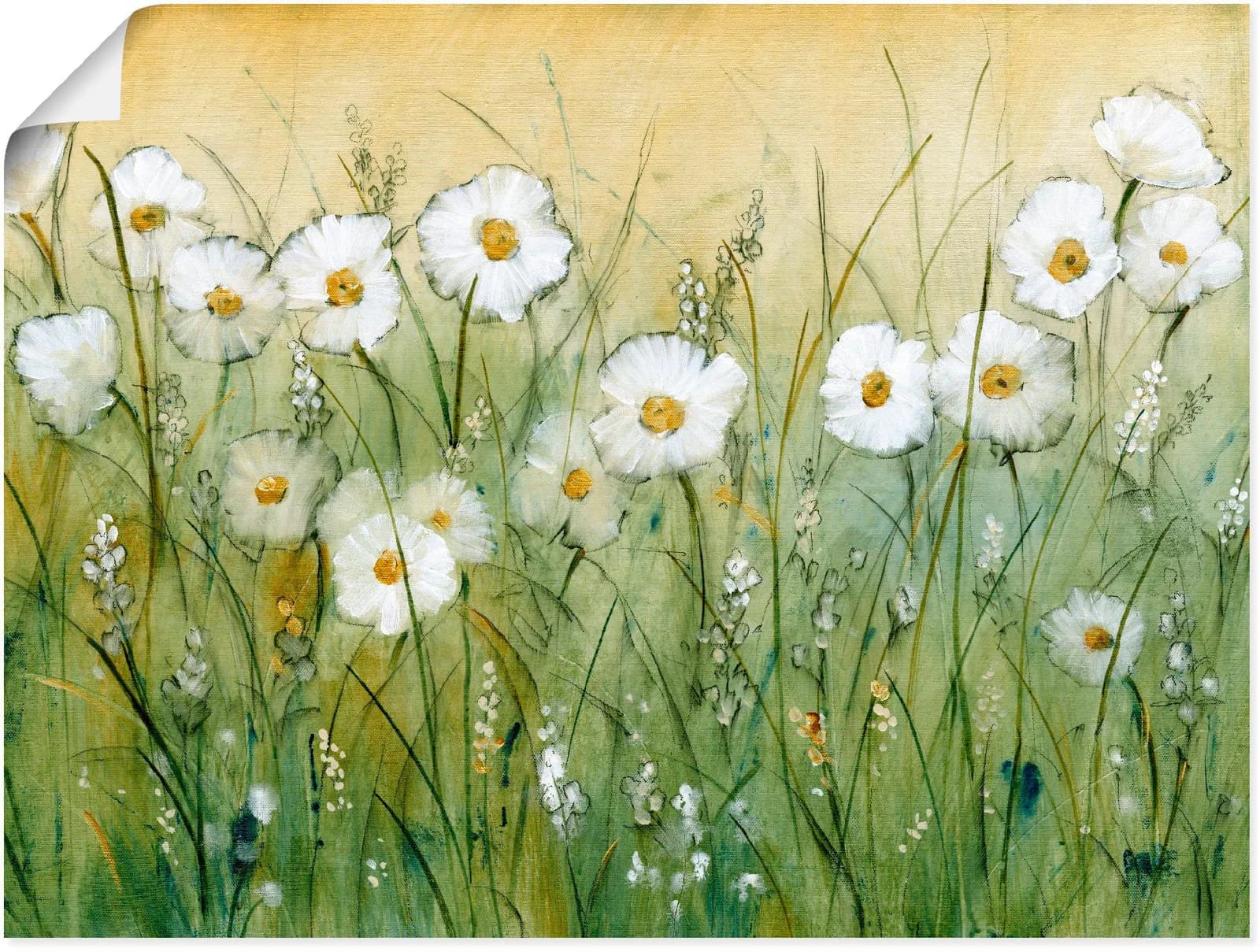 ARTLAND Wandbild Gänseblümchenfrühling II Grün Poster