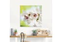 Artland Glasbild Weiße Orchidee Blumen Bild 1