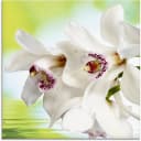 Artland Glasbild Weiße Orchidee Blumen Bild 2