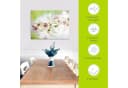 Artland Glasbild Weiße Orchidee Blumen Bild 3