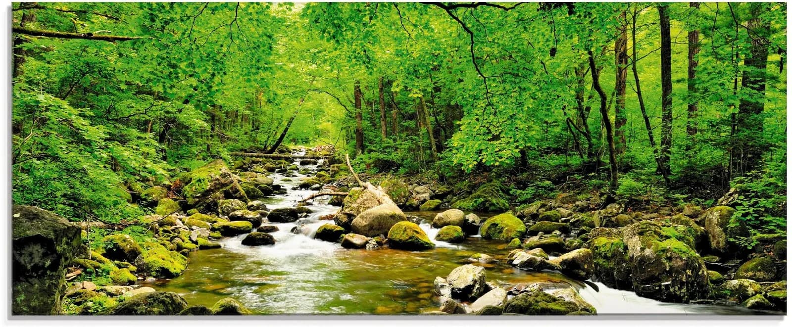 ARTLAND Glasbild Herbstwald Fluss Smolny Grün
