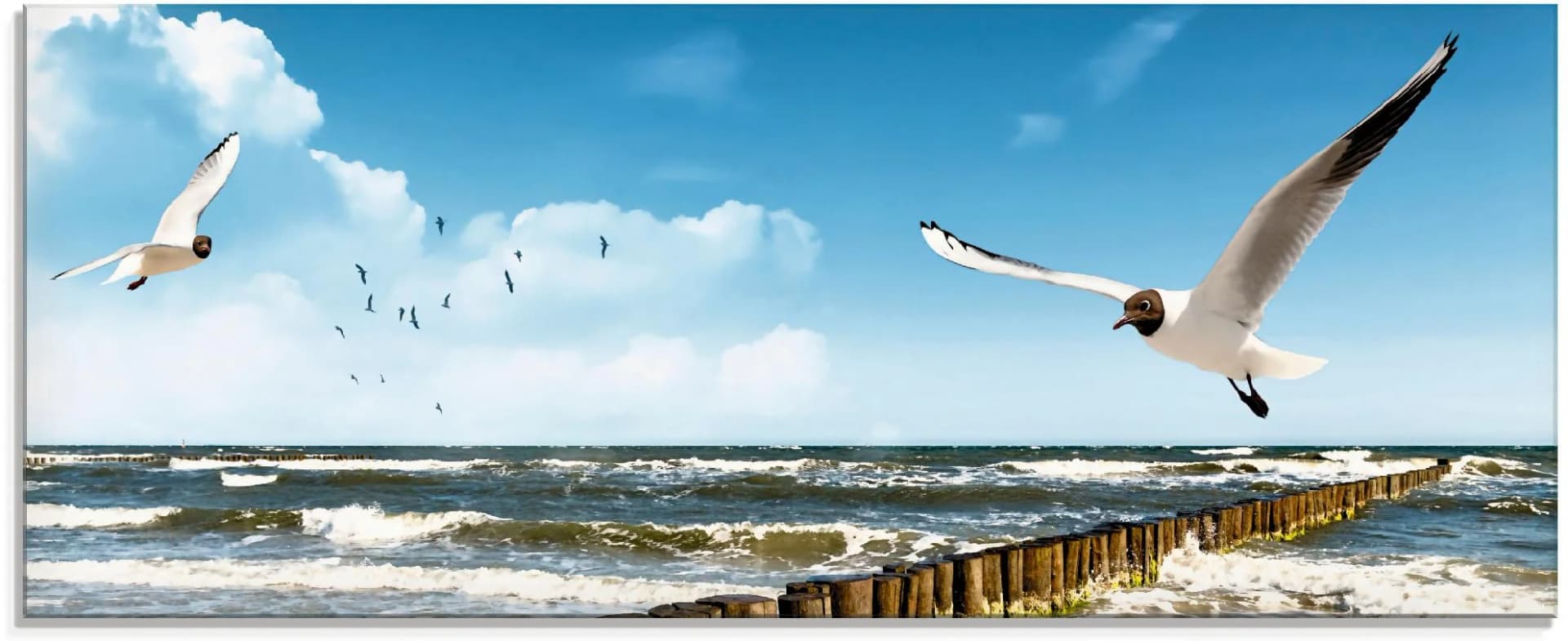 ARTLAND Glasbild Ostsee Blau Modernes Wandbild