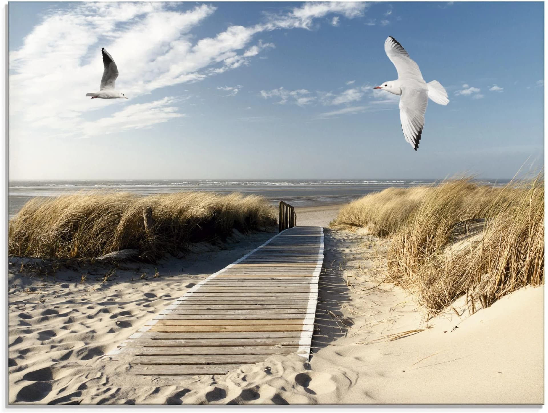 Glasbild ARTLAND Nordseestrand mit Möwen Blau