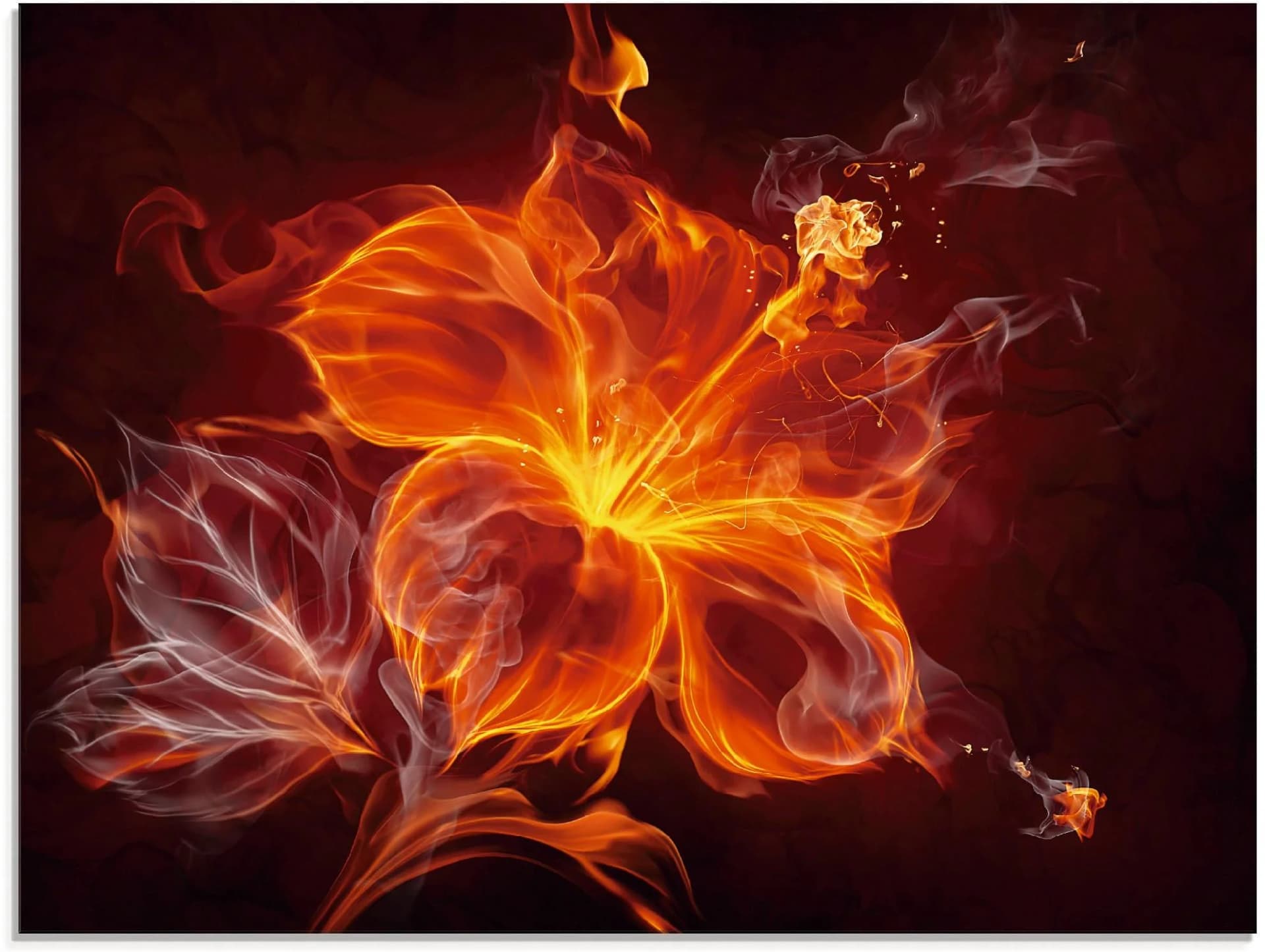 ARTLAND Glasbild Feuerblume Rot 80x60 cm