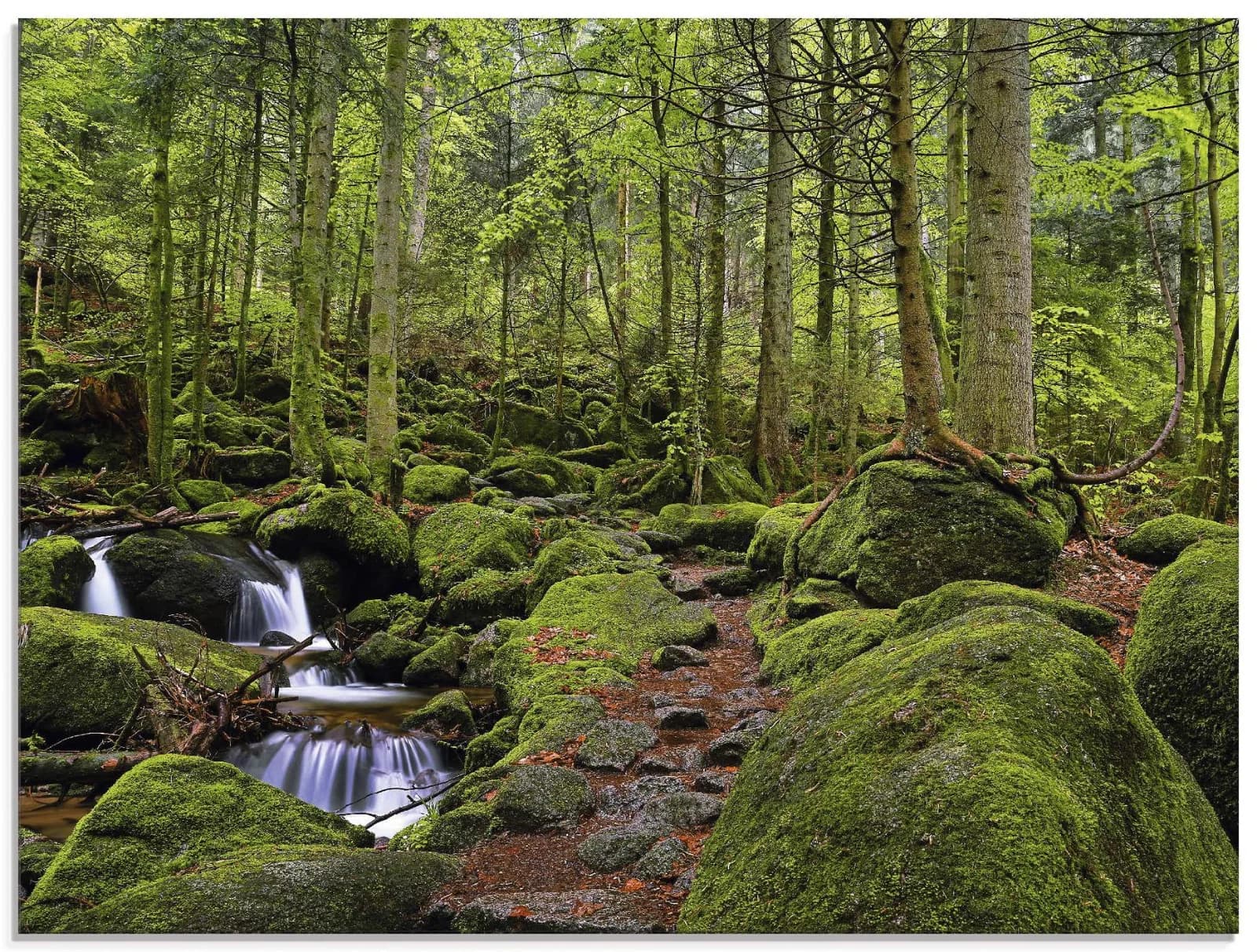 ARTLAND Glasbild Zauberwald mit Bach Grün 60x45 cm