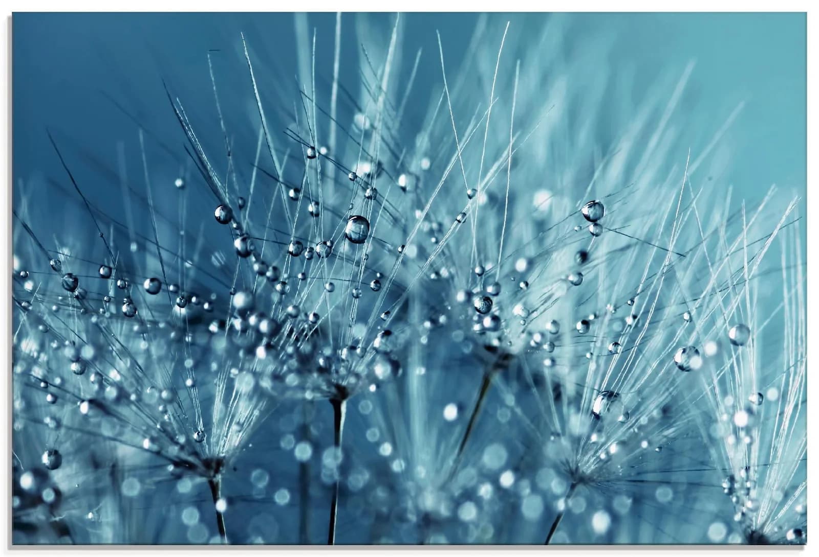 ARTLAND Glasbild Blaue glitzernde Pusteblume Blau