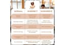 Best for Kids Kinderbett 2-in-1 Buchenholz mit Matratze Bild 3