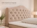 Best for Home Boxspringbett Glamour mit Bonellfederkern & Topper Bild 4