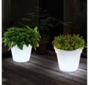 ETC-SHOP Solar-Blumentopf LED-Leuchtmittel 2er Set Bild 3