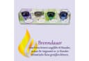 HS Candle Duftkerze Selection 4-tlg. Blumig Floral Selection Bild 5