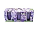 HS Candle Duftkerze 3-tlg. Glas Violett Klassische Düfte 12 Std. Bild 1