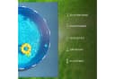 Bestlivings Pool-Bodenschutzfliese Blau 8er Set Bild 5