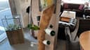 Möbel Akut Weinständer Teakholz massiv 180 cm Bild 1