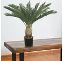 Kunstpalme Cycas 80 cm Kunstpflanze Plastikpflanze Bild 4