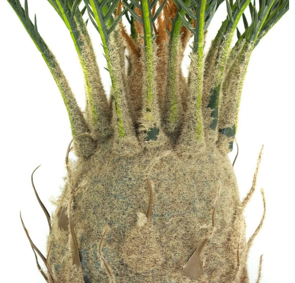 Kunstpalme Cycas 80 cm Kunstpflanze Plastikpflanze - Bild 5