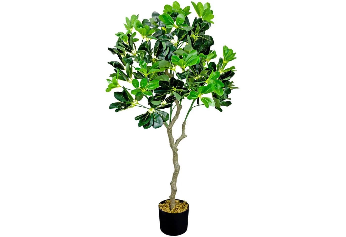 Decovego Kunstbaum Schefflera 100 cm Grün - Bild 2