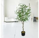 Decovego Kunstbaum Olive Olivenbaum 125 cm Grün Bild 4