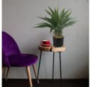 Decovego Künstliche Aloe Vera 54 cm im Zementtopf Grün Bild 3