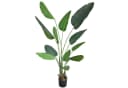Decovego Kunstbaum Strelitzie Paradiesvogelblume Grün 170 cm Bild 2