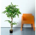 Kunstpflanze Ficus Benjamin 120 cm, Decovego Bild 1