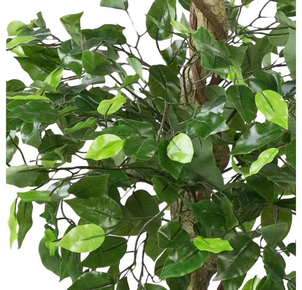 Decovego Kunstbaum Ficus Benjamin 170 cm Grün