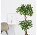 Decovego Kunstbaum Ficus Benjamin 170 cm Grün Bild 3