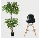 Decovego Kunstbaum Ficus Benjamin 170 cm Grün Bild 4